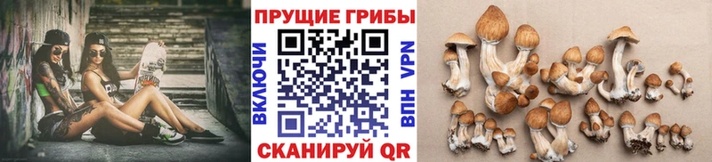 Псилоцибиновые грибы Magic Shrooms Лаишево